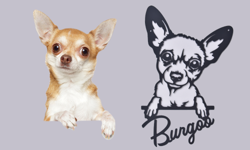 Chihuahua-Banner-PNG-New