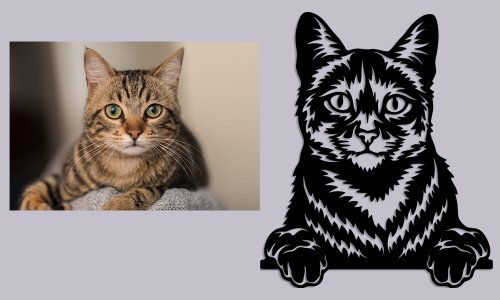 Domestic-Cat-Banner
